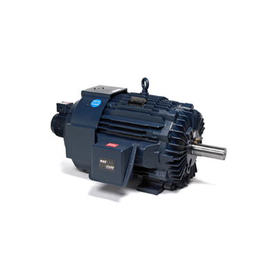 BLUE MAX Inverter Duty Motors
