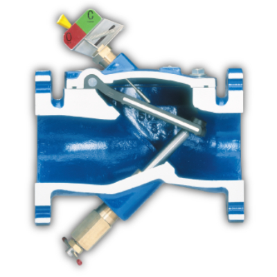 Swing-Flex check valve