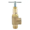 Bypass Valves