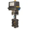 Electric Actuated Butterfly Valves