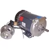 Hazardous Location Motors