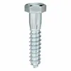 Hex Head Lag Screws