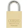 Keyed Alike Padlocks
