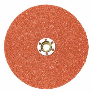 Arbor and Mandrel Mount Sanding Discs