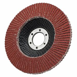 Flap Discs