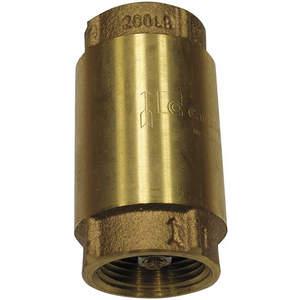 Check and Foot Valves
