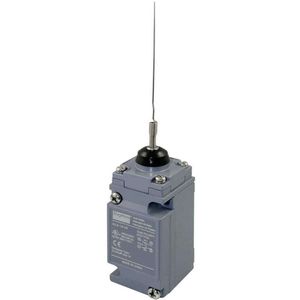 Limit/Interlock Switches
