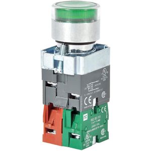 Illuminated Push Buttons with Contact Blocks