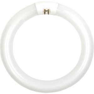 Circular Fluorescent Lamps