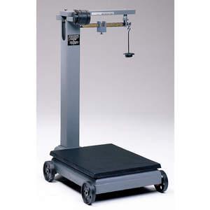 Bench and Floor Scales