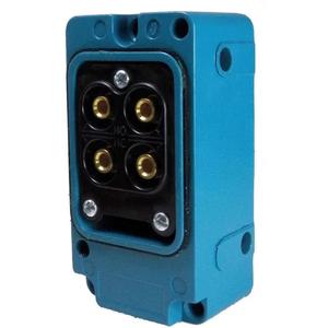Limit Switch Body and Contacts
