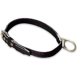 Body Belts