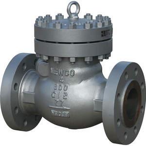 Check and Foot Valves
