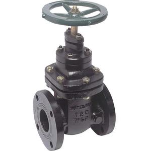 Gate and Globe Valves