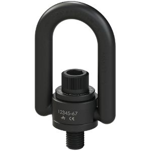 Hoist Rings