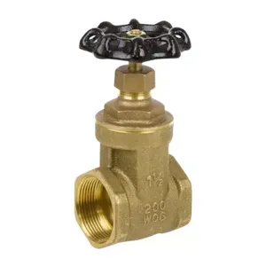 Gate and Globe Valves