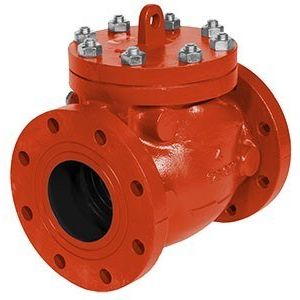 Check and Foot Valves