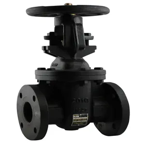 Gate and Globe Valves