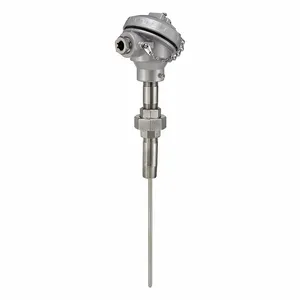 Temperature Probes