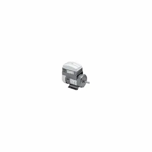 Vector Motors