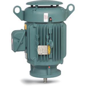 Vertical Pump Motors