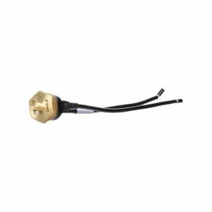 Line Voltage Thermostats