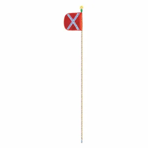 Warning Whips