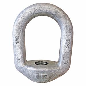 Forged Eye Nuts