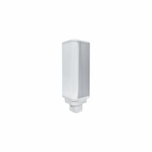 Automotive Lamps and Bulbs
