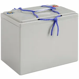 Replacement Batteries