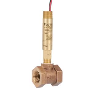 Flow Switches