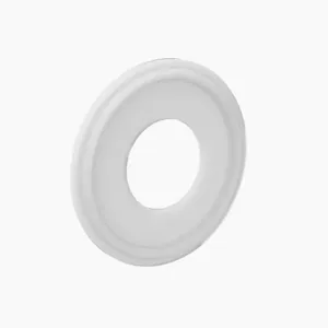 Sanitary Gaskets