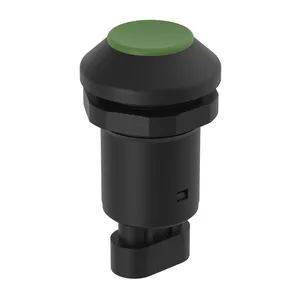 Specialty Switches