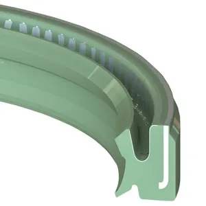 Oil Seals