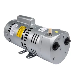 Rotary Vane Compressor/Vacuum Pump