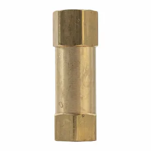 Pneumatic Check Valves