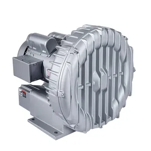 Regenerative Blowers