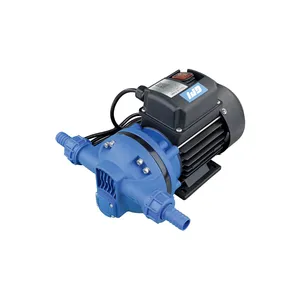 Utility/Dewatering Pumps