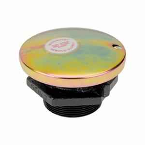 Fuel Transfer Pump Accessories