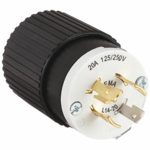Twist Lock Plugs