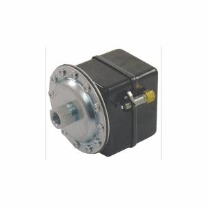 Pressure and Vacuum Switches
