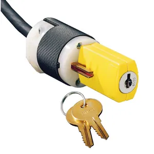 Plug and Switch Lockout Devices