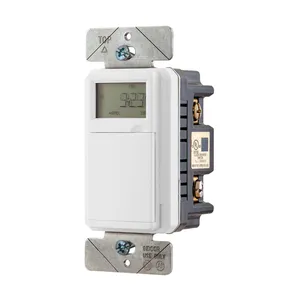 Electronic Timers