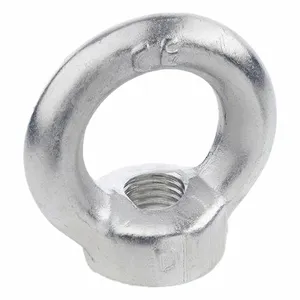 Forged Eye Nuts