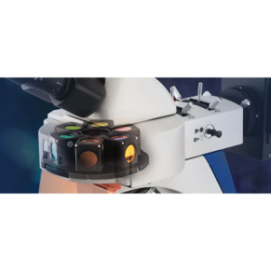 LED Lamps and Bulbs