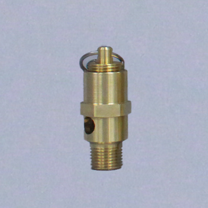 Pneumatic Safety Valves