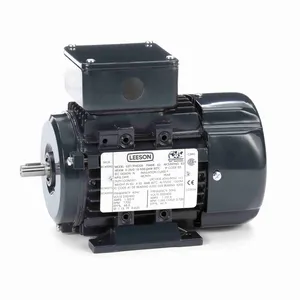 Metric Three Phase Motors