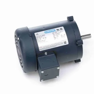 50 Hz Motors
