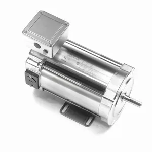 Washdown Motors