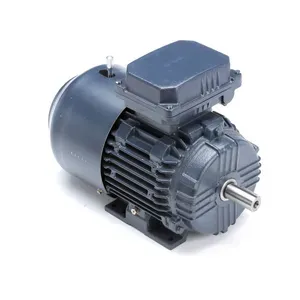 Brake Motors
